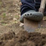 Tips for Using a Spade to Dig Planting Trenches: Expert Techniques