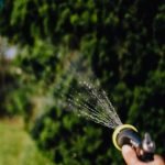 Tips for Using a Watering Wand: Expert Tricks for Lush Gardens