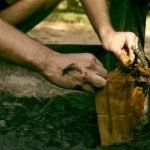 Tips for Using an Orbital Sander for Finishing Wood: Expert Tricks